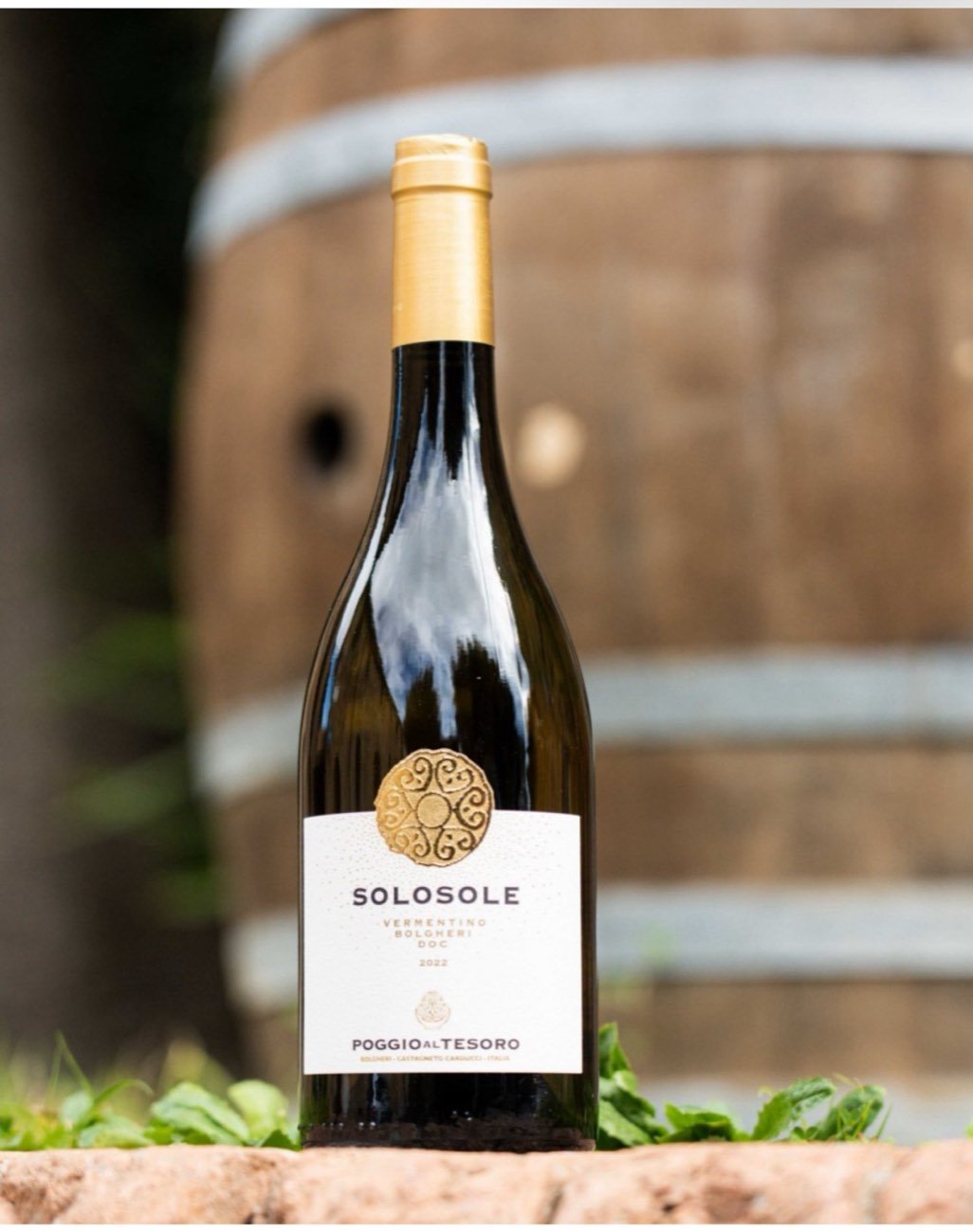 A bottle of Solosole white wine standing in front of an oak barrel